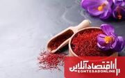 رشد ۵۰ درصدی تولید زعفران در آذربایجان شرقی؛ ۴۲۵ هکتار زیرکشت