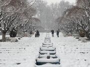 زنجان در یخبندان / سردترین نقطه کشور با دمای منفی ۶ درجه!