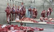 گوشت گوساله در چند قدمی ۲ میلیون تومان/ افزایش روزانه قیمت گوشت در بازار