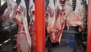 شوک قیمتی در بازار / گوشت قرمز ارزان شد