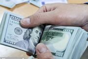 آخرین قیمت دلار بازار آزاد امروز شنبه ۱۸ بهمن ۱۴۰۴ /مذاکرات فعال و دلار ارزان شد! + جدول