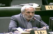 افزایش کالابرگ قطعی شد؟ / نماینده مجلس پاسخ داد
