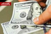 ریزش سنگین قیمت دلار، یورو، پوند و درهم امروز یکشنبه ۲۴ خرداد ۱۴۰۵ | کاهش قیمت دلار بازار آزاد از ۸ هزارتومان عبور کرد