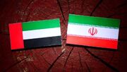 بازگشت گسترده تجار ایرانی به امارات/ فیل تجارت ایران یاد دبی کرد