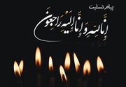 بازیگر هری پاتر درگذشت/ شوک بزرگ به دنیای هنر+ عکس