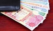 خبر مهم برای زائران اربعین/ مشتریان این بانک‌ها امکان خرید اینترنتی ارز را ندارند