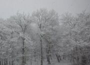 هواشناسی: برف و باران و باد در ۲۸ استان/ احتمال آب‌گرفتگی معابر