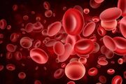خون ما حاوی بقایایی باستانی است که قدمتشان از کل جانوران بیشتر است