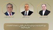 رایزنی تلفنی وزیر خارجه مصر با عراقچی و همتای پاکستانی