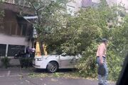 هواشناسی: احتمال وقوع طوفان گرد و خاک در تهران