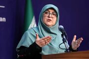 واکنش سخنگوی دولت به حمله به پزشکیان و عراقچی در مراسم تشییع پیکر رهبر شهید: در چنین فضایی، هرگونه اقدام وحدت شکن خلاف مصالح ملی است