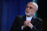 علی اکبر صالحی: اینکه چین امروز یکی از بهره‌مندان اصلی نزاع ایران و امریکا در منطقه است، درست است ولی اگر نتیجه نزاع خدای ناکرده عمدتا به سود آمریکا تمام شود، دیگر آن فرضیه صحیح نخواهد بود / پکن و مسکو باید دریابند چاقویی که ظاهرا آمریکا برای ایران تیز می‌کند در حقیقت برای چین و روسیه است