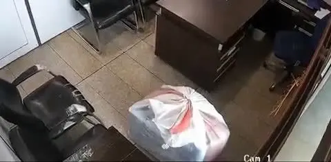 ببینید| کشف تلفن ماهواره‌ای از چمدان دیپلمات اروپایی