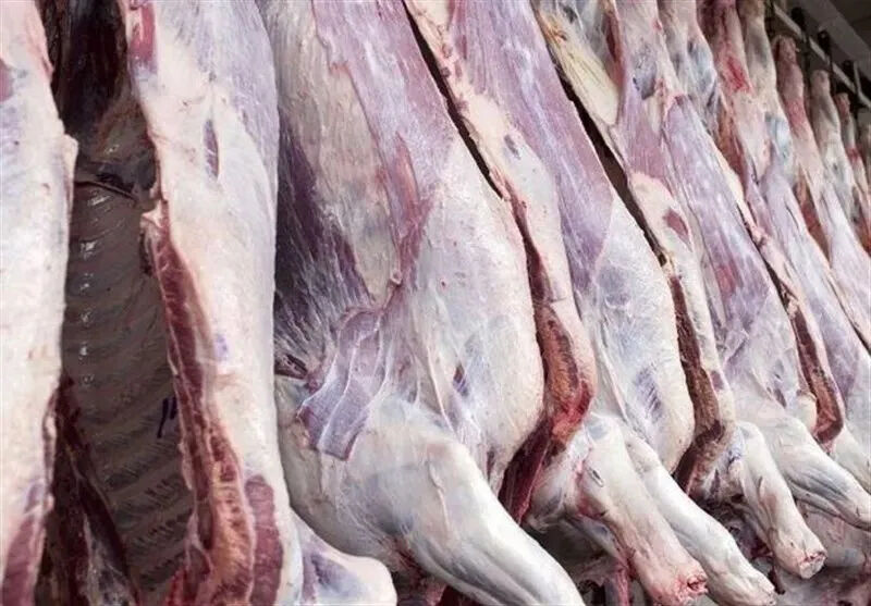 کشف 254 کیلوگرم گوشت غیرمجاز در تهران
