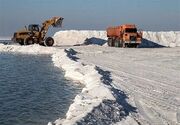 تنها چیزی که برداشت می شود نمک است