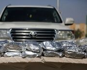 خبر منابع آگاه به روزنامه اعتماد درباره سفر دو روزه رئیس سازمان غذا و دارو به افغانستان: به طالبان پیشنهاد شد مقادیری از تریاک مکشوفه را به ایران بفروشد