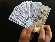 قیمت دلار مبادله‌ای امروز یکشنبه ۱۴ دی ۱۴۰۴