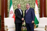 گفت‌وگوی روسای‌جمهور ایران و تاجیکستان/ امامعلی رحمان: تحقق چنین توافقی با آمریکا در شرایط پیچیده کنونی، آسان نبود/ پزشکیان: امیدواریم سیاست‌های تجاوزکارانه رژیم صهیونسیتی متوقف شود
