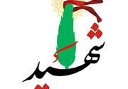 در حملات شب گذشته و بامداد امروز امریکا، ۸ نفر شهید و ۲۰ تن زخمی شدند