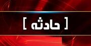 راننده خشمگین گوش راننده دیگری را با دندان کند