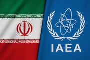 سفارت ایران در وین: آژانس به اجرای ماده ۲ اساسنامه ان‌پی‌تی بازگردد