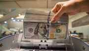 چرا عرضه دلار دولتی نتوانست افزایش قیمت دلار در بازار آزاد را مهار کند؟