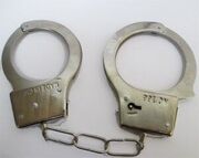 زوج سارق قبل از سرقت از ساختمان خالی از سکنه دستگیر شدند