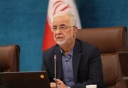 وزیر کشور عازم قطر شد
