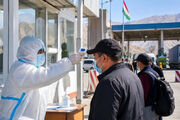 متخصص بیماری‌های عفونی: هنوز موردی از طاعون توسط وزارت بهداشت در تهران گزارش نشده/ آزمایشگاه‌های مرجع و انستیتو پاستور در حالت آماده‌باش هستند