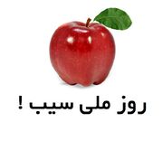 پیشنهاد اتاق بازرگانی ارومیه برای نامگذاری «روز ملی سیب»