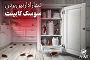 تنها راه از بین بردن سوسک کابینت