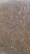 گنج‌یابان زیر پای سنگ‌نگاره اشکانی را خالی کردند