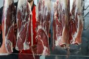 هیچ مجوزی برای کشتار و عرضه گوشت اسب، قاطر و الاغ صادر نشده است