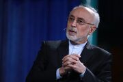 علی‌اکبر صالحی: از مسیر صلح حدیبیه می توان به فتح مکه رسید