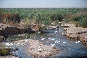 (تصاویر) مرگ تدریجی هورالعظیم