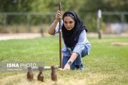 (تصاویر) مسابقات وودبال قهرمانی کشور بانوان