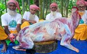 (ویدئو) ببینید این ۴ پدربزرگ هندی چگونه با بز ۵۰ کیلوگرمی بریانی طبخ می‌کنند