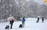 (ویدئو) طوفان برفی قدرتمند دانشجویان را سرنگون کرد