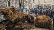 (ویدئو) کشاورزان معترض آلمانی وسط خیابان کود خالی کردند