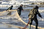 (تصاویر) ماهیگیری در سواحل مازندران