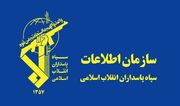 دستگیری سرشبکه وابسته به گروهک منافقین در اردبیل