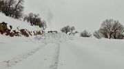 (ویدئو) بارش برف یک جادهٔ روستایی در خراسان‌جنوبی را ناپدید کرد