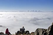 (تصاویر) زنجان در مه