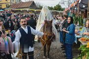 (تصاویر) اولین جشنواره پرتقال در پرشکوه لنگرود