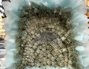 دیدید ما چقدر پولداریم؟!/ جنجال ویدیو تاج گل دلاری