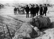 راز هیولاهای دریایی که هر از گاهی به ساحل می‌آیند