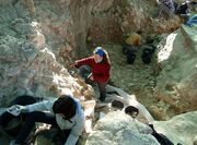 نئاندرتال‌ها ۴۳ هزارسال قبل «جمجمۀ حیوانات» را اینجا جمع می‌کردند