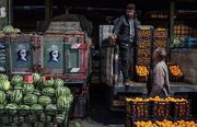 قیمت میوه‌های تابستانی؛ شلیل و هلو چند؟