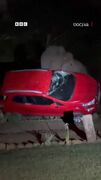 فیل در جستجوی انبه یک خودرو را واژگون کرد