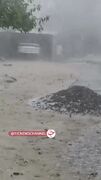بارش طوفانی و کم‌سابقه باران در سیستان؛ مسیل‌ها جان گرفتند
